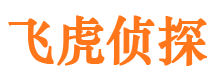 新浦市侦探调查公司